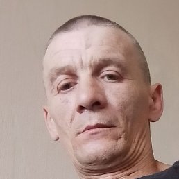 ,  , 41 