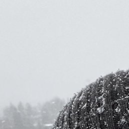 ������, ������-���, 22 ����