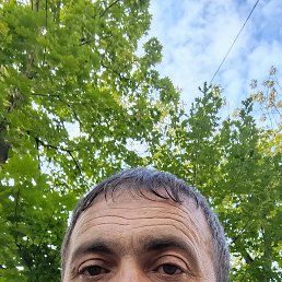 , 46, 