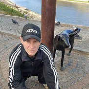 , 53 , 
