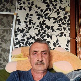 , 51, 