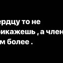 ���� No Name, ������������ - ��������� 12 ������� 2025 � ������ ���� ����������