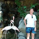 ���� �������, �������, 49 ��� - ��������� 15 ������� 2023 � ������ ���� ����������