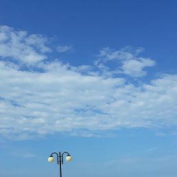 �����, �����