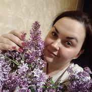 , 29 , 