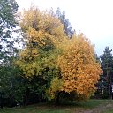 ���� ������, �����, 64 ���� - ��������� 17 ������ 2023 � ������ ������ ��������