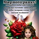 ���� Vitali, �������, 41 ��� - ��������� 17 ������� 2024 � ������ ���� ����������