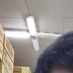 �����, ������, 39 ���