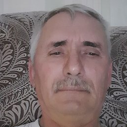 ��������, ������, 65 ���