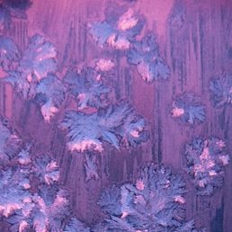 �����, ������, 56 ���