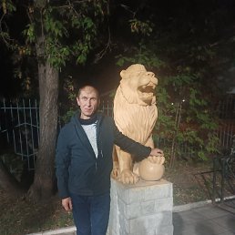 , 39, 