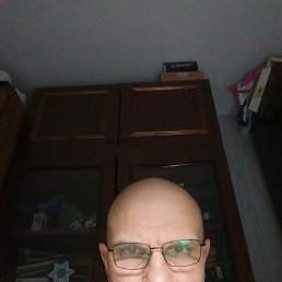 , 37, 