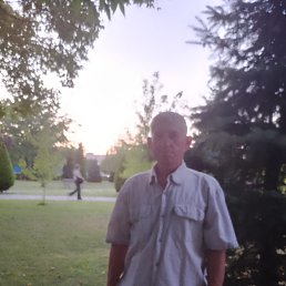 ������, 52 ����, ����