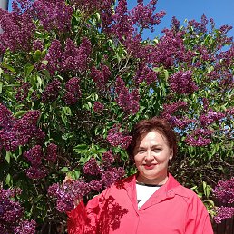 , 49, 