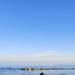 ����, ��������, 32 ����