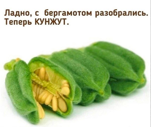 Te�ep� �� ��ae�e �ce! - 2