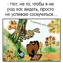 ���� Krasota, �����-���������, 40 ��� - ��������� 23 ������� 2025 � ������ ���� ����������