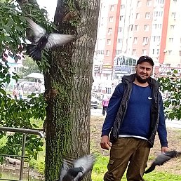 , 34, 