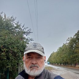  , 61, 
