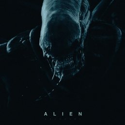 ������, ������, 40 ���