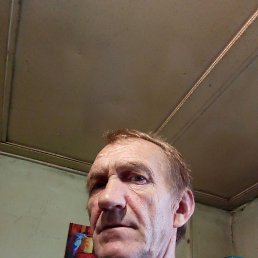 , 54, 