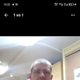 ����, �����������, 46 ���