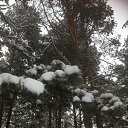 ���� �����, �������, 60 ��� - ��������� 29 ������� 2025 � ������ ������ ��������