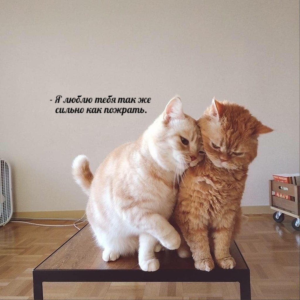       - 23  2025  11:24 - 3