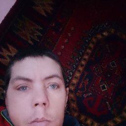 ������, 38 ���, ������