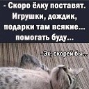 ���� ������, ������, 52 ���� - ��������� 21 ������� 2024 � ������ ������ ��������