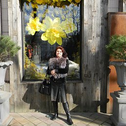 ������, ���������, 53 ����