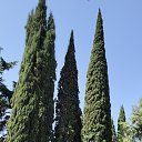 ���� ��������, ��������, 64 ���� - ��������� 17 ���� 2026 � ������ ������ ��������