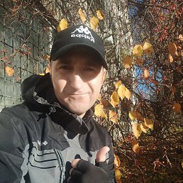 ���������, ������������, 40 ���