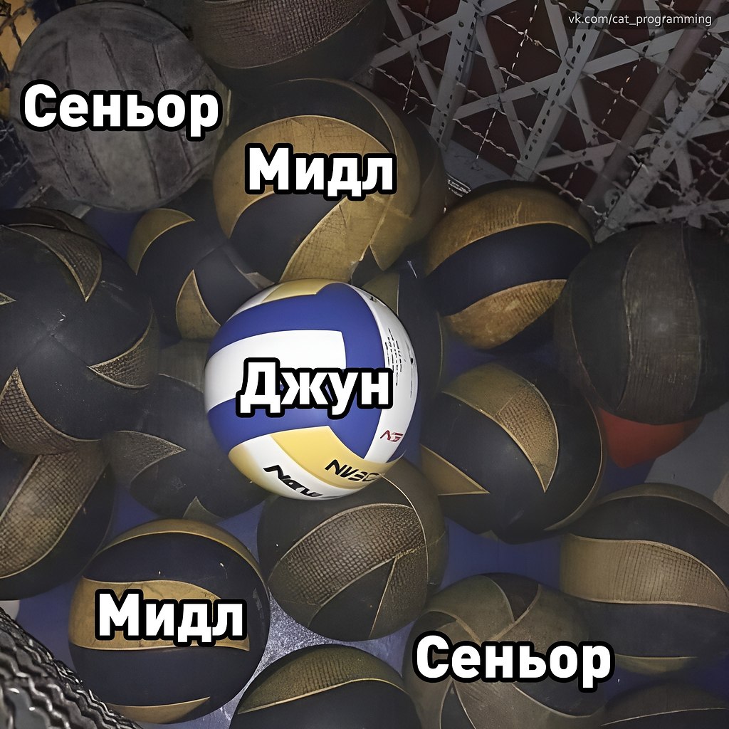 /zev/null - 4  2025  08:15
