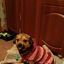���� �����, ������� - ��������� 14 ����� 2026 � ������ ���� ����������