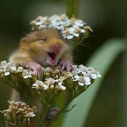 ���� ����, ������, 39 ��� - ��������� 4 ������� 2026