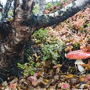 ���� ���������, ��������, 61 ��� - ��������� 3 ������ 2024 � ������ ������ ��������