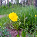 ���� ���, ���������� �����, 33 ���� - ��������� 12 ��� 2024 � ������ ���� ����������