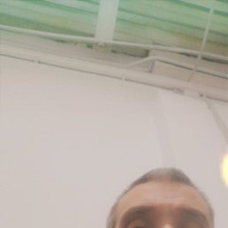 , , 50 