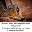 ���� ����, �����, 40 ��� - ��������� 17 �������� 2024 � ������ ���� ����������