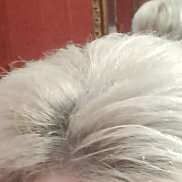 ������, 43 ����, �����