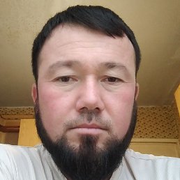 Elyor, ������, 36 ���