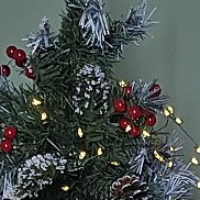 �������, 28 ���, ������