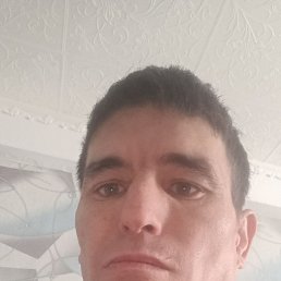 , 39, 