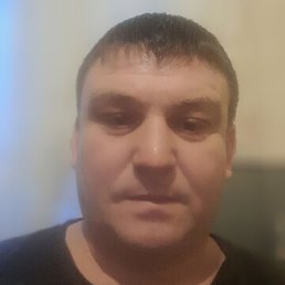 ���������, ����������, 40 ���