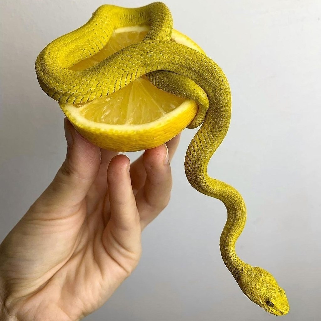 ��-����� ��� ������ �� �������� - 3