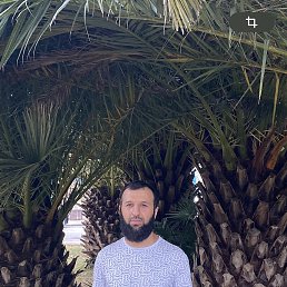 , 34, 