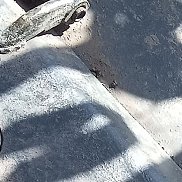 , 42 , 
