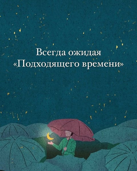 . - 29  2025  12:55 - 8