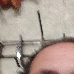 ������, ������, 39 ���